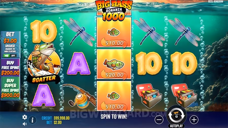 Big Bass Bonanza 1000 gameplay